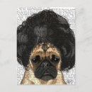 Recherche de perruque cartes postales Animaux