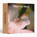 Search for tiny flower Mother