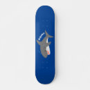 Search for shark attack skateboards Sea