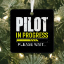 Search for pilot ornaments Pilot in progress
