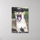 Recherche de grondement posters Faune