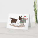Search for cardigan cards Canine