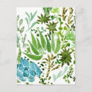 Search for fields vertical postcards Flowers