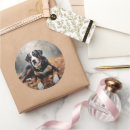 Search for swiss mountain stickers Pet