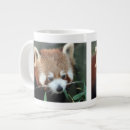 Recherche de panda roux tasses Animal