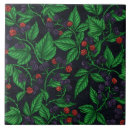 Search for blackberry tiles Raspberry