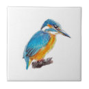 Search for kingfisher tiles Blue