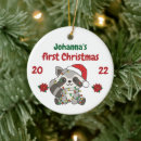 Search for raccoon ornaments Animal lover