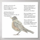 Search for poems by emily dickinson Bird