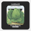Search for cabbage labels Vegetable