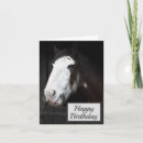 Search for farm birthday cards Horses