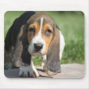 Recherche de basset tapis souris Animal