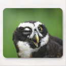 Search for bizarre mousepads Animal