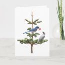 Search for blue jay christmas cards Tree