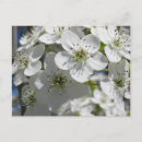 Search for spring stamps posters Floral