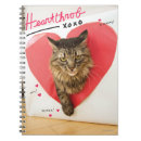 Search for cute fluffy notebooks Cat