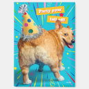 Search for funny animals magnets Puppy