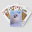 Recherche de mammifère marin jeux de cartes Vie marine