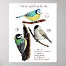 Search for wildlife posters Illustration