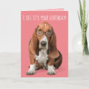 Recherche de basset hound birthday cards Dog