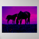 Search for filly art Horse