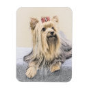 Recherche de yorkshire terrier magnets Mignon