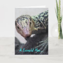 Search for caring photo cards Encouragement
