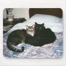 Search for bed mousepads Feline
