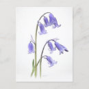 Search for bluebell cards Pretty