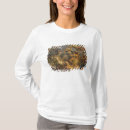 Search for brun tshirts Plafond