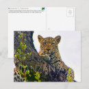 Search for tanzania postcards National park