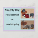 Search for funny dog saying postcards Dachshund