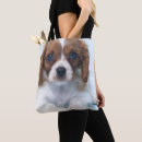 Recherche de timide sacs Animaux de bébé