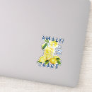 Search for limoncello stickers Amalfi coast