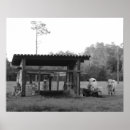 Search for black and white cow posters Ranch