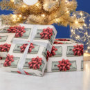 Search for money wrapping paper Dollars