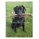 Search for lab notebooks Back to school