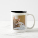 Recherche de divan tasses Chat