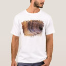 Search for indoor rowing clothing Horizontal