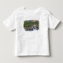 Recherche de torrent tshirts Montagne