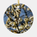 Search for willow ornaments Nature