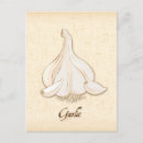 Recherche de oignon cartes postales Jardinage