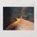 Search for spotlight postcards Ocean