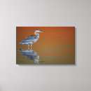 Recherche de aviaire art Floride