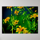 Recherche de copie jaune de fleur Nature