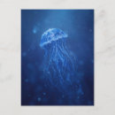 Recherche de meduse cartes postales Pour tous