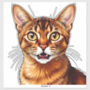 Search for cat head stickers Tabby
