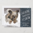 Search for holiday cards Snowflakes