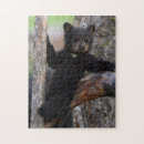 Recherche de bear puzzles Bébé