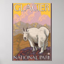 Recherche de chèvre de montagne posters National